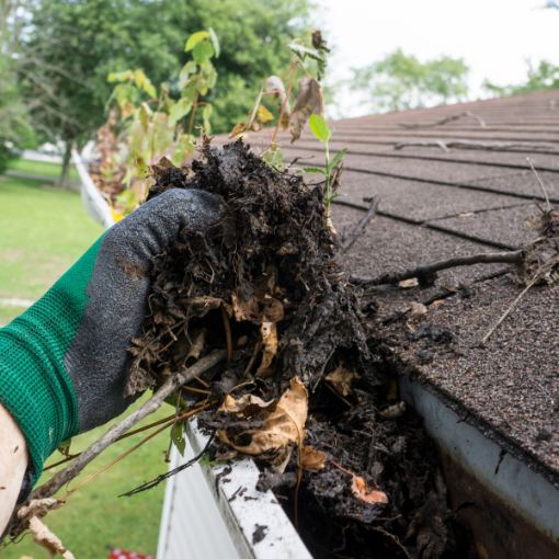 Houston Gutter cleaning experts